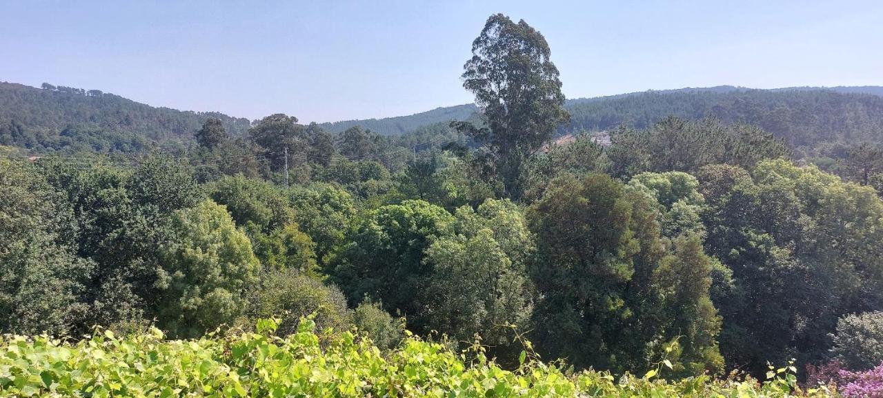 Green Paradise Glamping Covas  Bagian luar foto